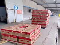 中国五粮液酒总代理2025年最新信息